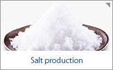 Salt production