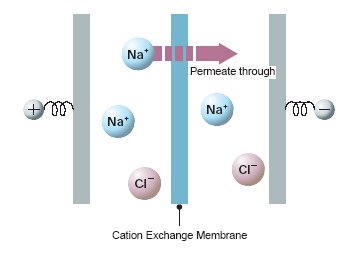 anion exchange membrane