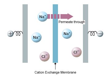 Fig.1-1 Ion Exchange Membrane