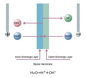 Fig.6 Bipolar Membrane