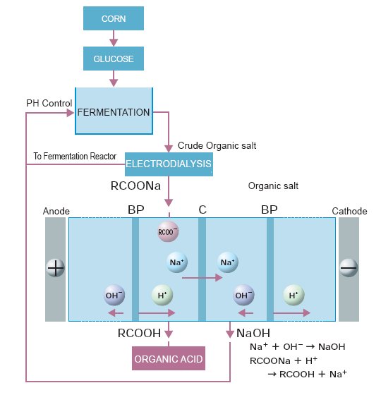 Fig.8 Flow Chart of Organic Acid Production