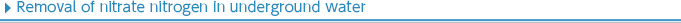 Removal of nitrate nitrogen in underground water